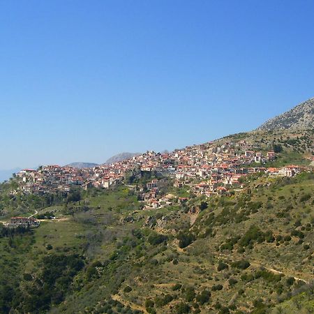 Kelari Studios Amfissa Buitenkant foto
